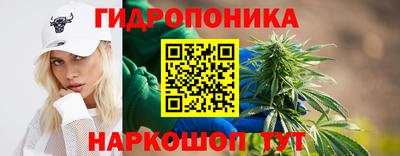 молекула духа Тверь