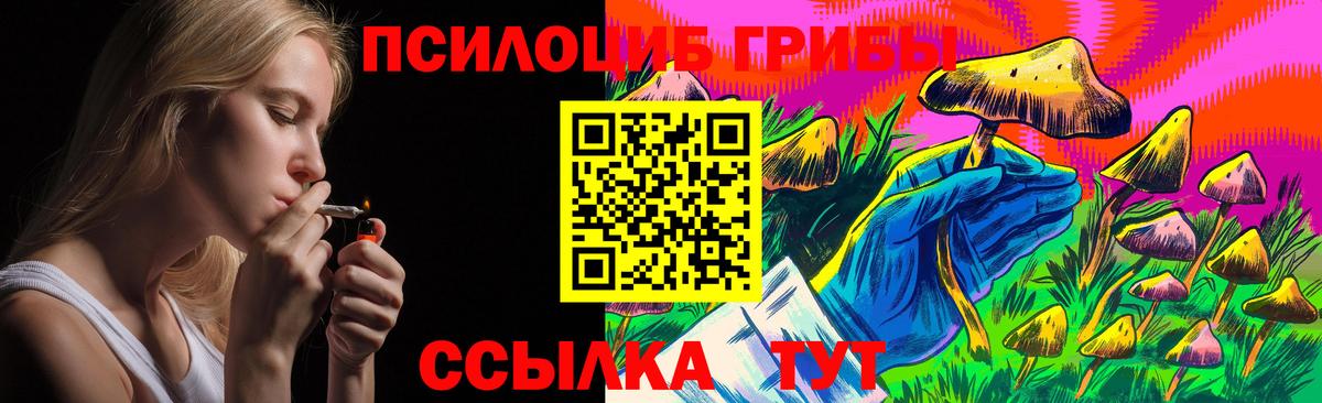 Псилоцибиновые грибы Magic Shrooms  Вход с VPN  где купить   Батайск 